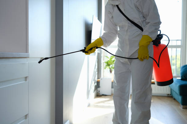 Best Residential Mold Removal  in Hillsboro, OH