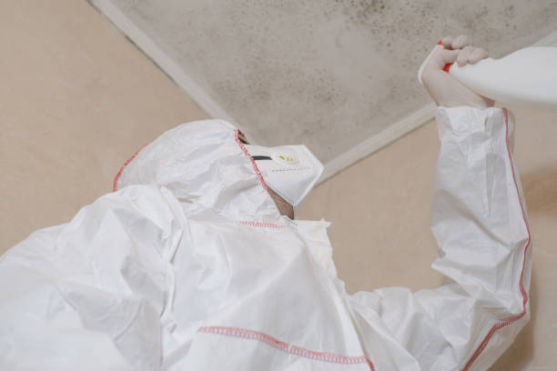 Crawl Space Mold Removal in Hillsboro, OH